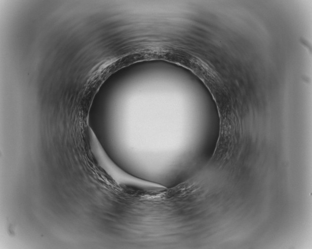 X0000098010773200804071327