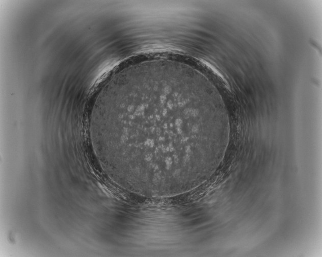 X0000098010775200804071327