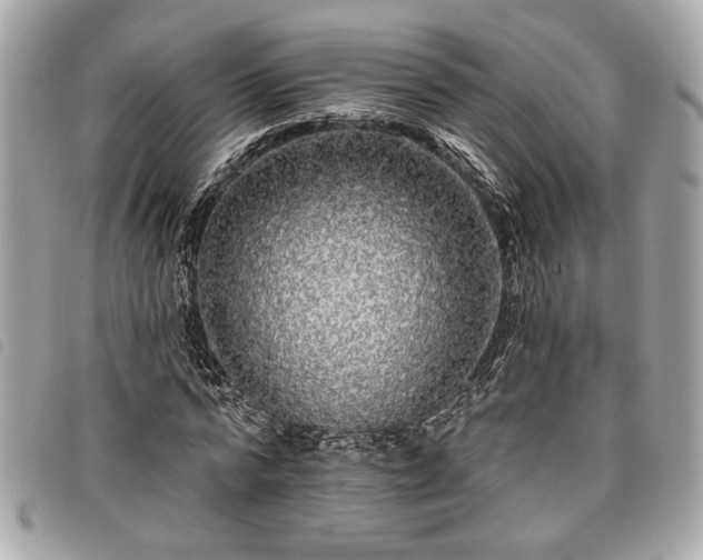 X0000098010776200804071327