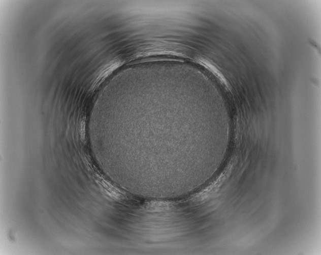 X0000098010777200804071327