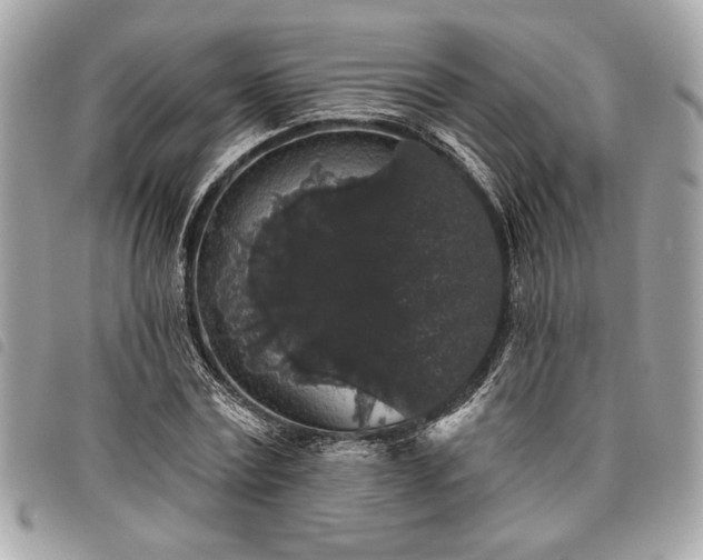 X0000098010779200804071327