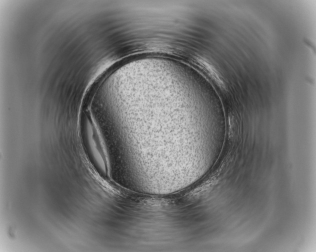 X0000098010780200804071327