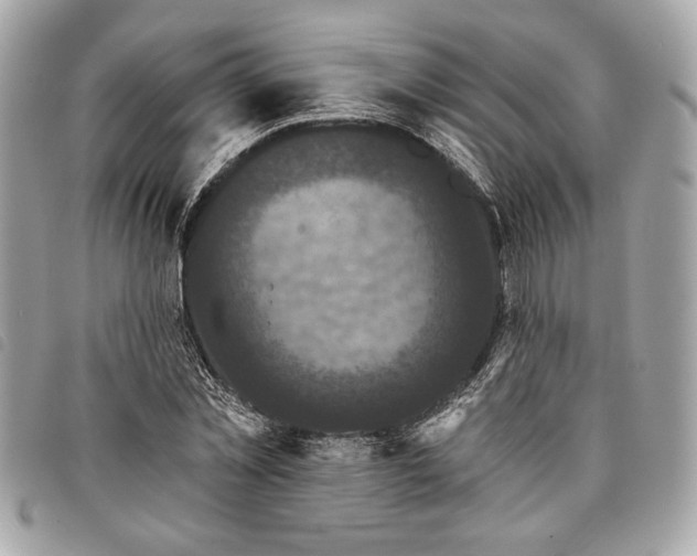 X0000098010781200804071327