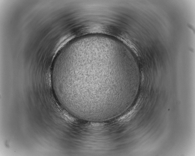 X0000098010782200804071327