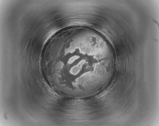 X0000098010783200804071327