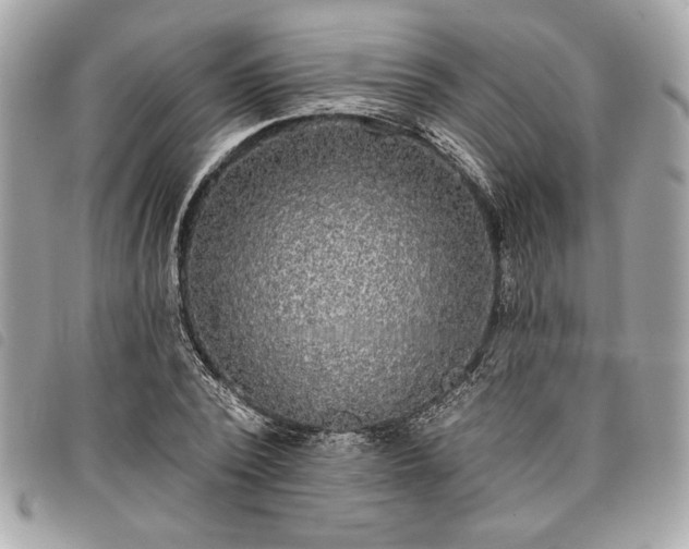 X0000098010784200804071327