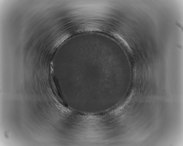 X0000098010785200804071327