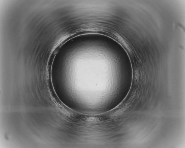 X0000098010787200804071327