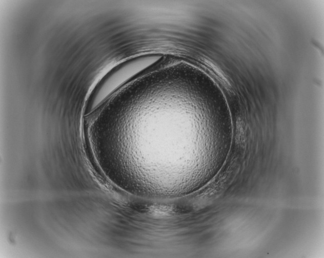 X0000098010788200804071327