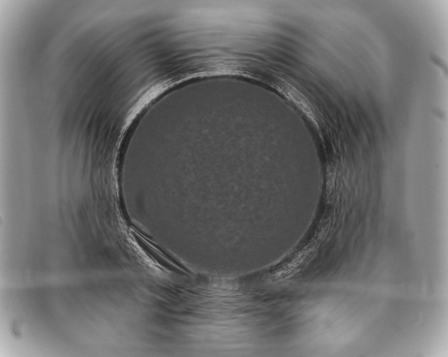 X0000098010789200804071327