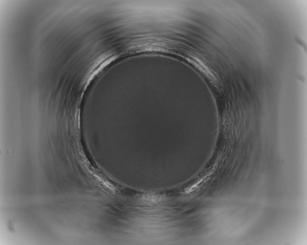 X0000098010790200804071327