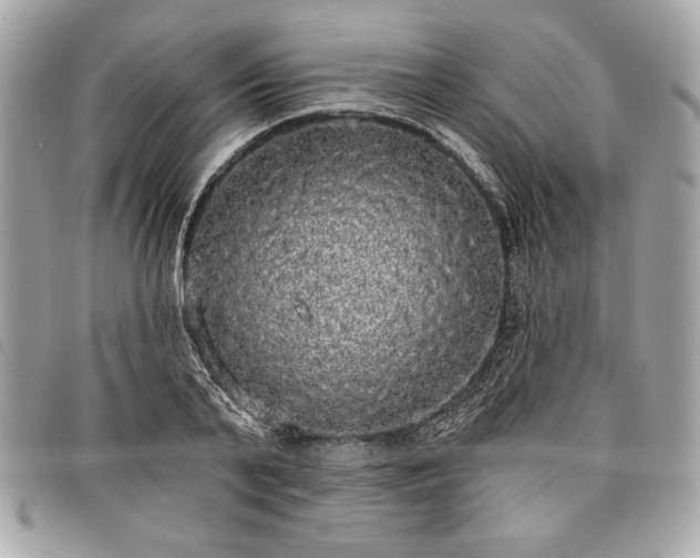 X0000098010791200804071327