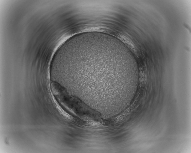 X0000098010792200804071326