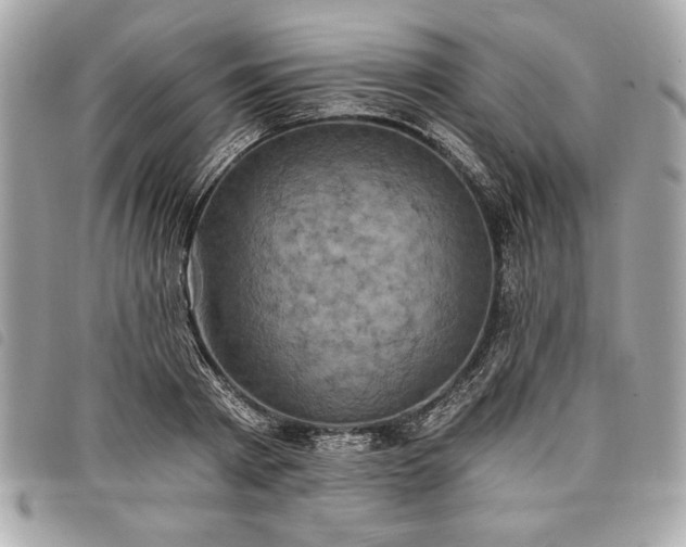 X0000098010793200804071326