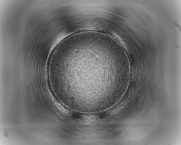 X0000098010795200804071326