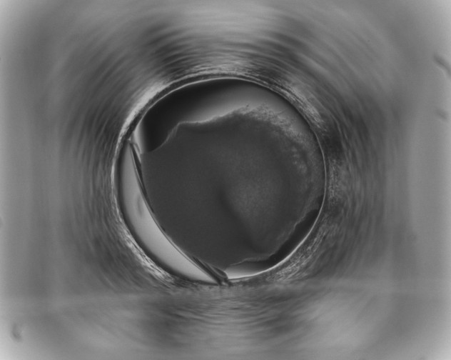 X0000098010796200804071326