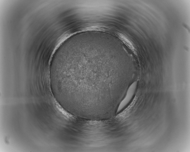 X0000098010800200804071326