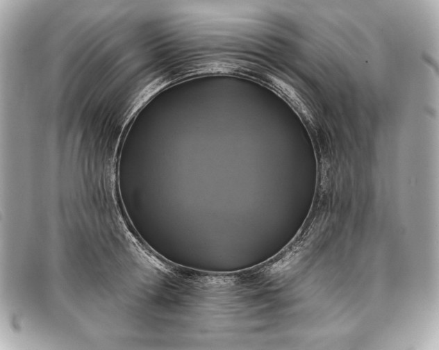 X0000098010802200804071326