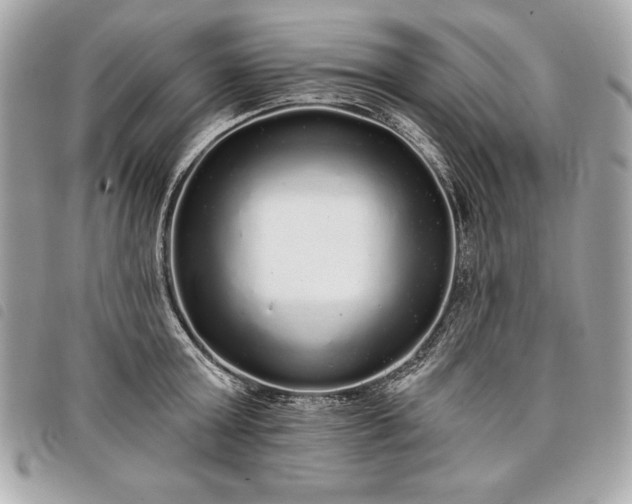 X0000098010803200804071326