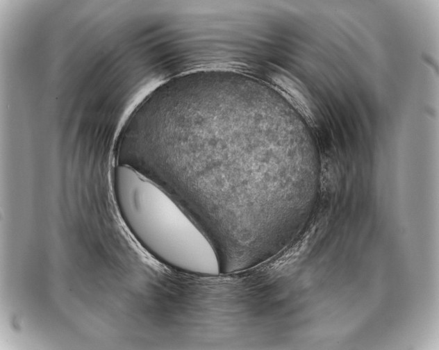 X0000098010804200804071326