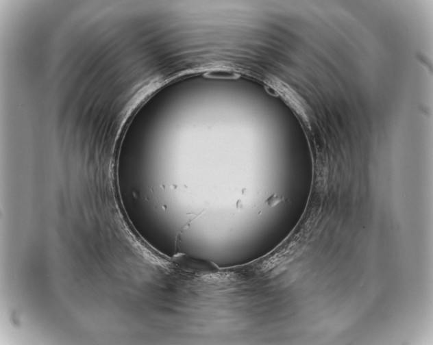 X0000098010805200804071326