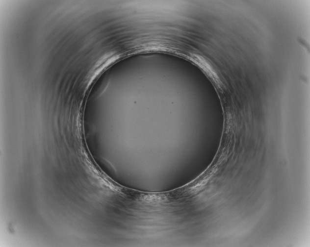 X0000098010806200804071326