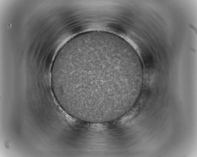 X0000098010807200804071326