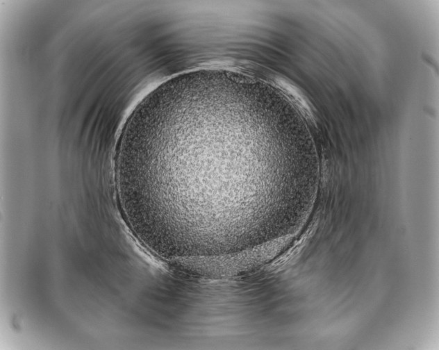 X0000098010808200804071326