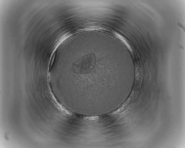 X0000098010810200804071326