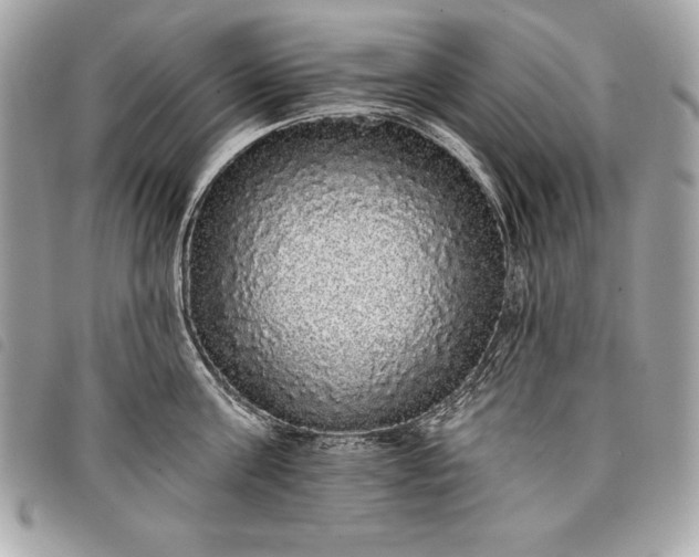 X0000098010811200804071326