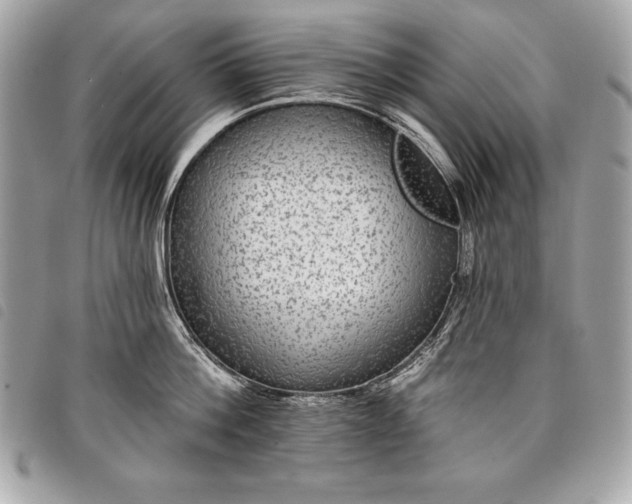 X0000098010812200804071326