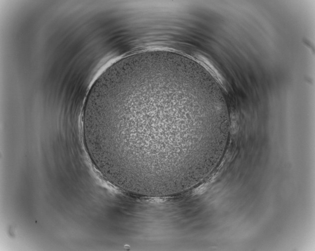 X0000098010814200804071326