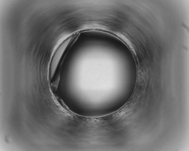 X0000098010815200804071326