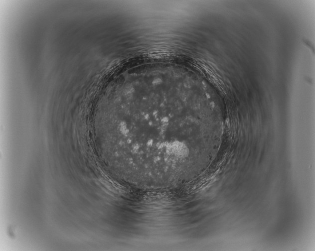 X0000098010817200804071325