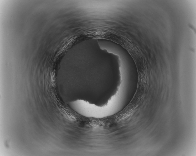 X0000098010818200804071325