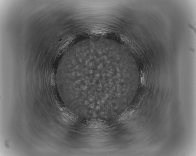 X0000098010819200804071325