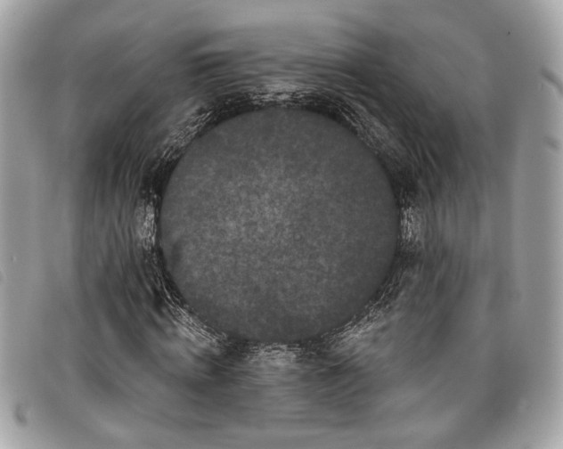 X0000098010820200804071325