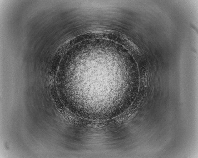 X0000098010821200804071325