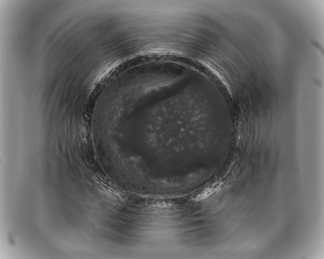 X0000098010823200804071325