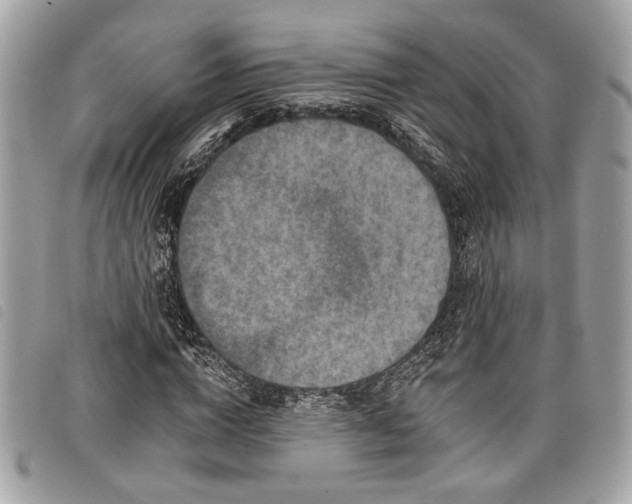 X0000098010824200804071325