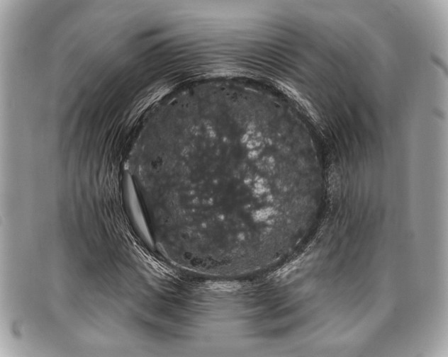 X0000098010825200804071325