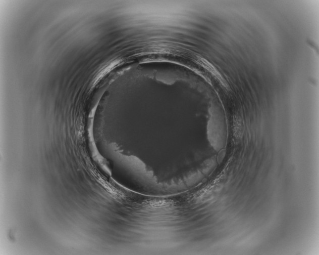 X0000098010826200804071325