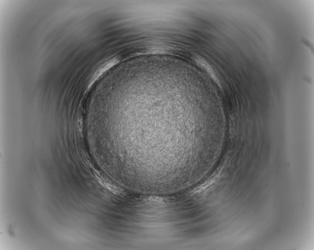 X0000098010827200804071325