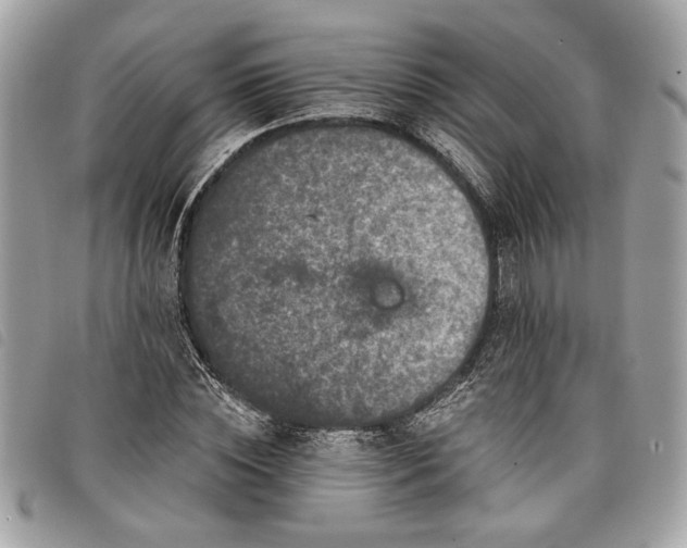 X0000098010828200804071325