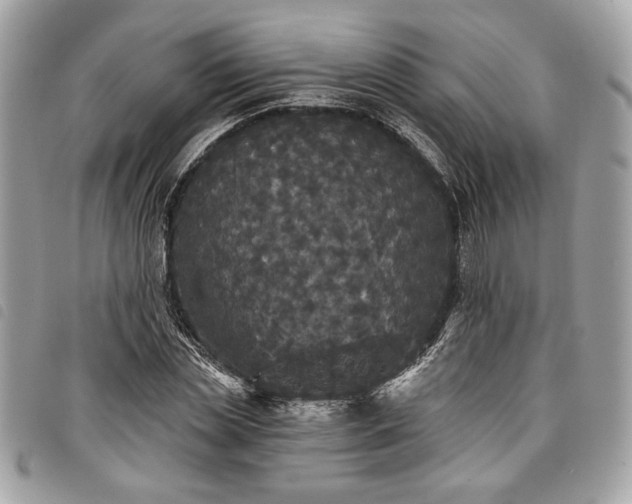 X0000098010829200804071325