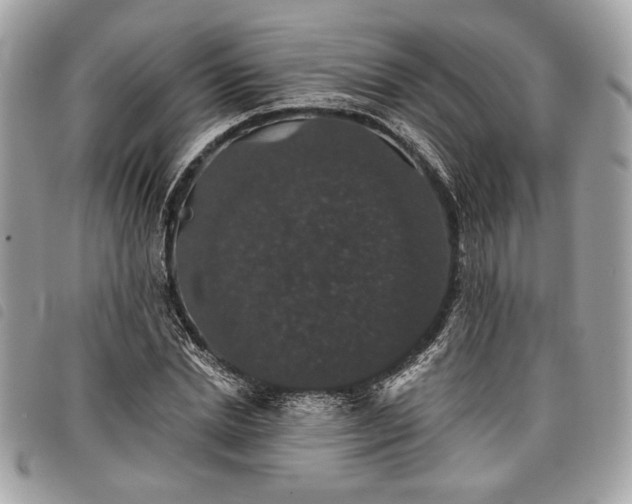 X0000098010830200804071326