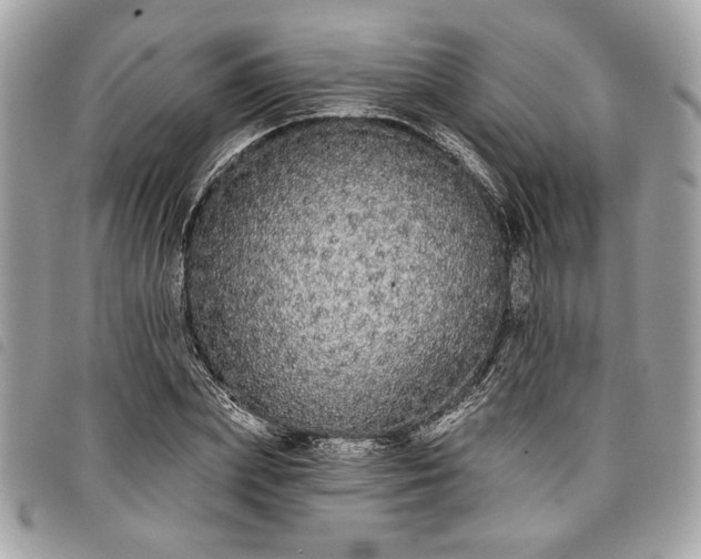 X0000098010831200804071326