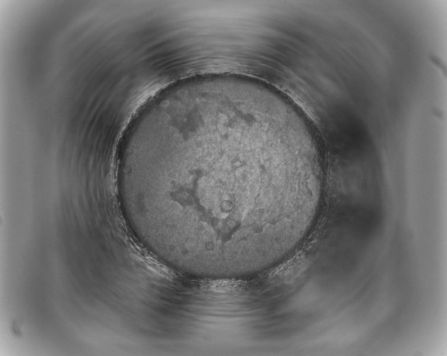 X0000098010832200804071326