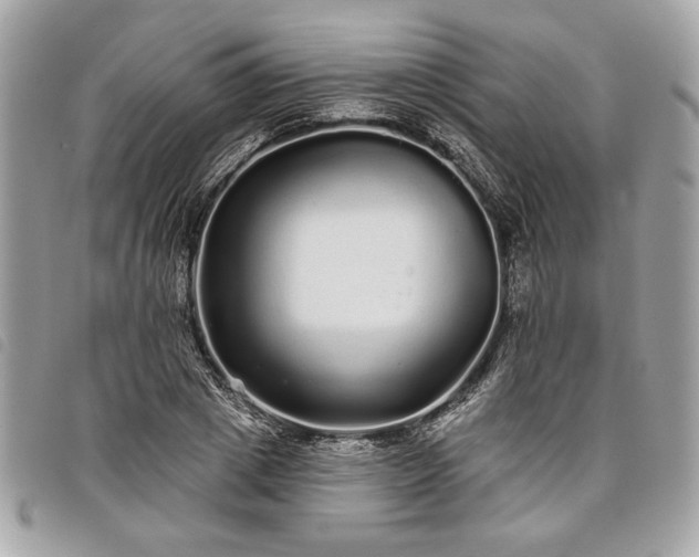 X0000098010833200804071326