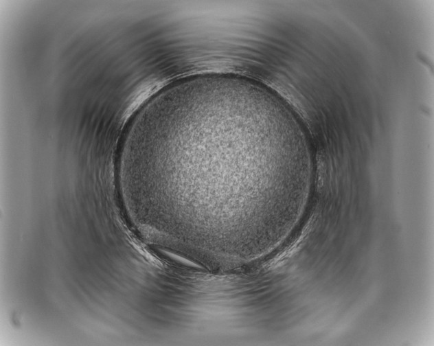 X0000098010834200804071326